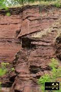 Ehemaliger Sandsteinbruch bei Bornstedt nahe Eisleben, Sachsen-Anhalt, (D) (5) 28.06.2015 (Hornburg-Formation).JPG